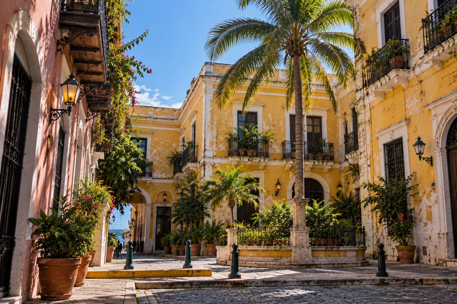 Yellow colonial architecture around a central palm